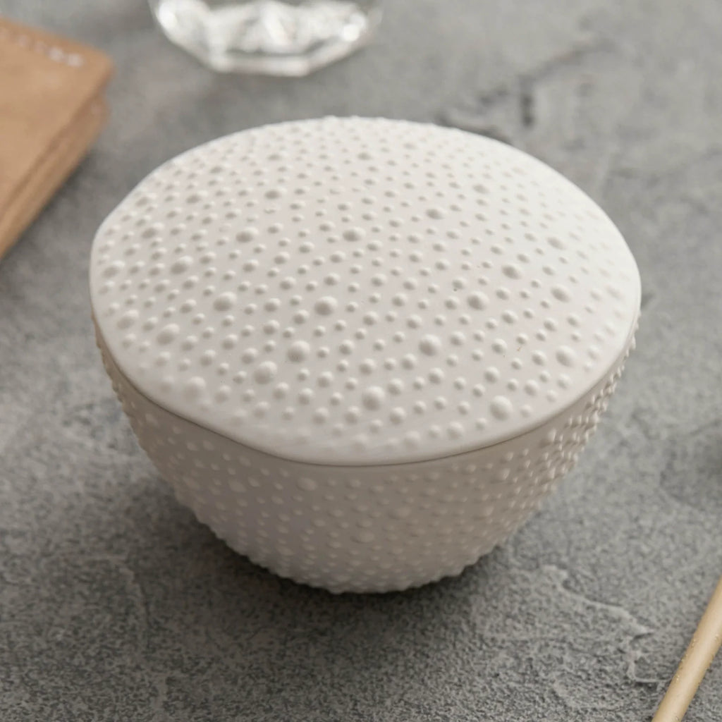 Matte Sea Urchin Texture Ceramic Bowl with Lid – Dessert & Stew Cup-3