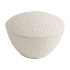 Matte Sea Urchin Texture Ceramic Bowl with Lid – Dessert & Stew Cup-4