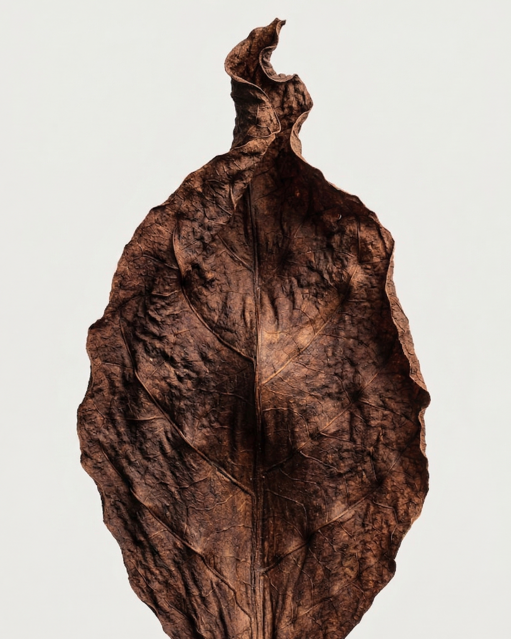 M2SKIN Incense