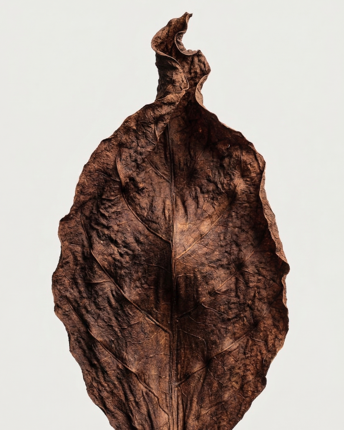 M2SKIN Incense